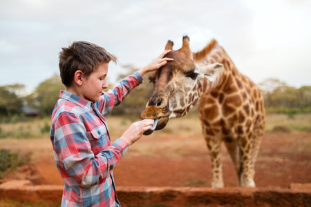 Young teenage boy feeding giraffes in Africaの写真素材