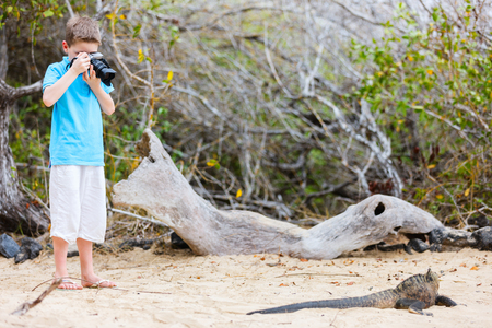 Little boy photographing huge marine iguanaの写真素材