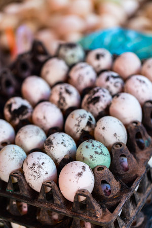 Fresh eggs for sale at marketの写真素材