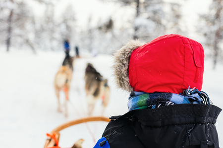 Husky dogs are pulling sledge with a kid at winter forest in Lapland Finlandの写真素材