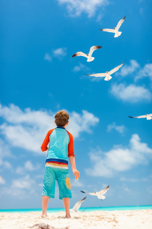 Little boy and a flock of seagulls at Caribbean beachの写真素材