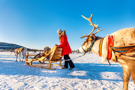 Family of mother and her daughter at reindeer safari on sunny winter day in Northern Norwayの写真素材