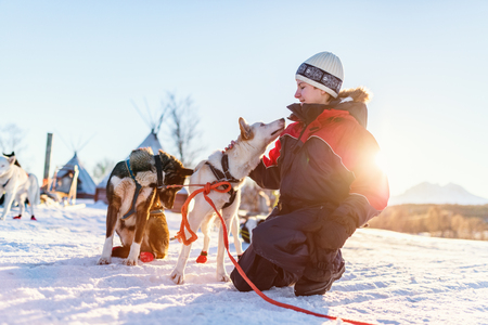 Teenage boy having a cuddle with husky sled dog in Northern Norwayの写真素材