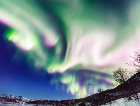 Incredible Northern lights Aurora Borealis activity above the coast in Norwayの写真素材