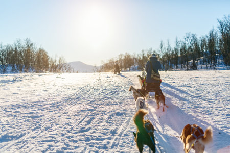 Sledding with husky dogs in Northern Norway