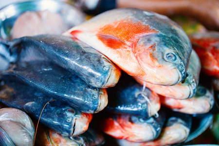 Fresh fish at seafood marketの写真素材