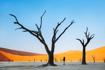 Young girl among dead camelthorn trees surrounded by red dunes in Deadvlei in Namibiaの写真素材