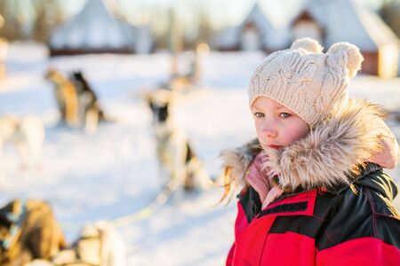 Adorable girl having a cuddle with husky sled dog in a farm in Northern Norwayの写真素材