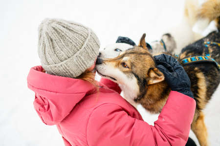 Adorable pre-teen girl cuddling with husky dogs outdoors on winter day in Lapland Finlandの写真素材