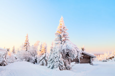 Beautiful winter landscape with wooden hut and snow covered trees in Lapland Finland