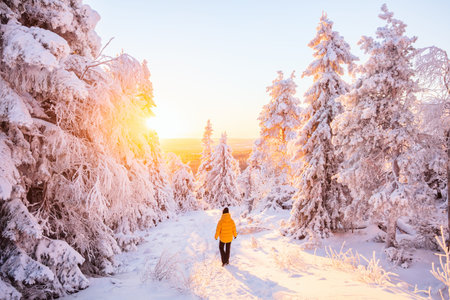 Back view of young woman walking in winter forest among snow covered trees in Lapland Finlandの写真素材