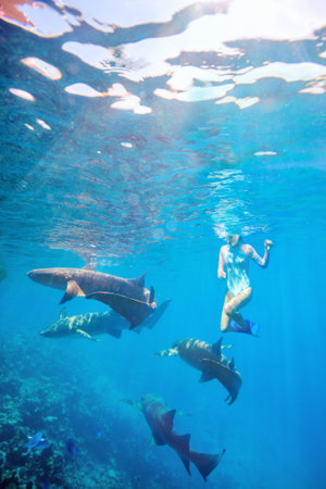 Underwater photo of teenage girl snorkeling in a clear tropical water with nurse sharks in Maldivesの写真素材