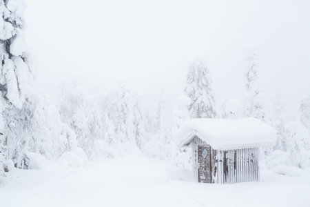 Snow covered log cabin in majestic winter forest in Lapland Finlandの写真素材