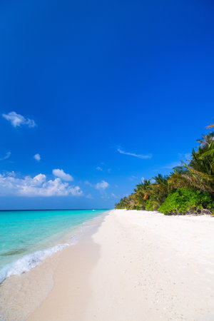 Beautiful tropical beach on exotic island at Maldivesの写真素材