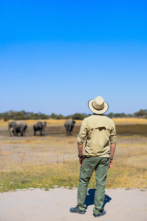 A man dressed in safari attire, standing on sandy ground under a bright blue sky, gazing at a group of elephants in the distance on a vast savanna.の写真素材