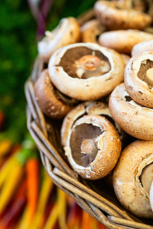Close-up view of white portobello mushrooms with exposed brown gills arranged in rustic wicker basket.の写真素材