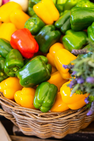 Fresh green, yellow, and red bell peppers displayed in rustic wicker basket, accented with purple...
