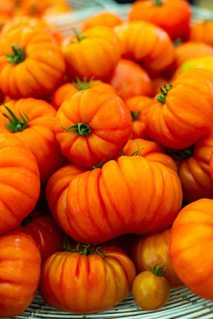 Fresh orange heirloom tomatoes with distinctive ridged surfaces and green stems, showcasing their natural ripeness and unique shape.の写真素材