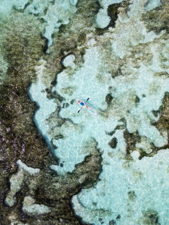 An aerial view of a woman kayaking in a transparent kayak over crystal-clear waters, revealing intricate coral reef formations in the Seychelles.の写真素材