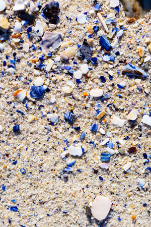Detailed macro photograph showing a natural blend of sand grains, scattered blue shell pieces, and white seashell fragments creating a beach mosaic texture.の写真素材
