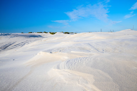 A serene landscape of white sand dunes stretching into the distance under a vibrant blue sky, with faint greenery visible on the horizon.の写真素材