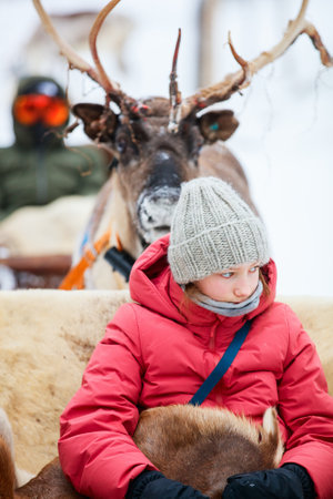 A child, warmly dressed in a red jacket and wool hat, sits in a reindeer-drawn sled during a winter excursion in Finnish Laplandの写真素材