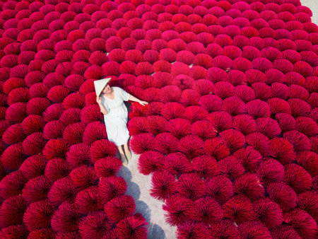 A woman wearing a traditional conical hat sits among vibrant red bundles of incense sticks drying in the sun in Vietnamの写真素材