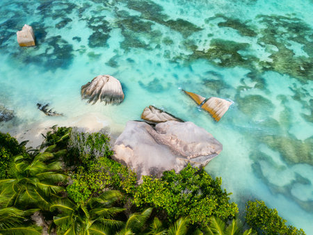 An aerial perspective showcases large granite boulders submerged in turquoise waters, surrounded by lush green palm trees along the pristine beach of La Digue, Seychellesの写真素材