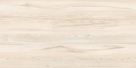 Texture of light embossed rough elm and natural patternの写真素材