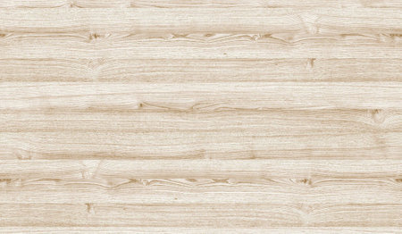 Texture of light embossed rough elm and natural patternの写真素材