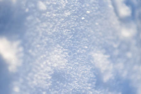 the grass was frozen and covered with frostの写真素材