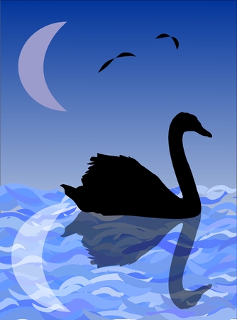 Night image - silhouette of a swan on water surface with reflection of the moonのイラスト素材