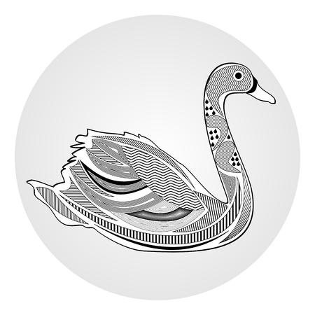 Swan, black and white drawing with hatched and patterned body parts, tattoo template of silhouette water birdのイラスト素材