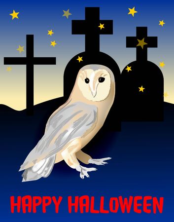 Happy halloween with cute owl on cemetery in nightのイラスト素材