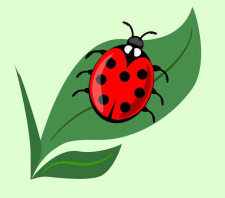 Cute ladybug on green leaf isolated onlight green background. Vector ladybird illustration, beautiful red insect with seven dots on his wing case. Vector EPS 10のイラスト素材