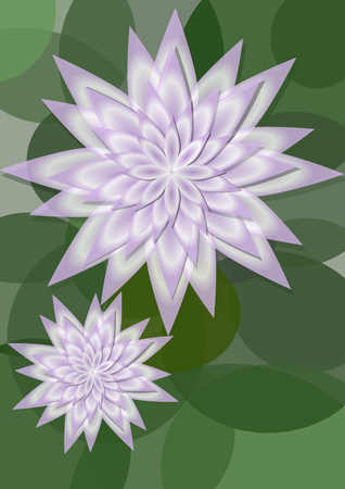 Waterlily background with big and small flower on circle green leaves, copy space for own message. Beautiful natural background.のイラスト素材