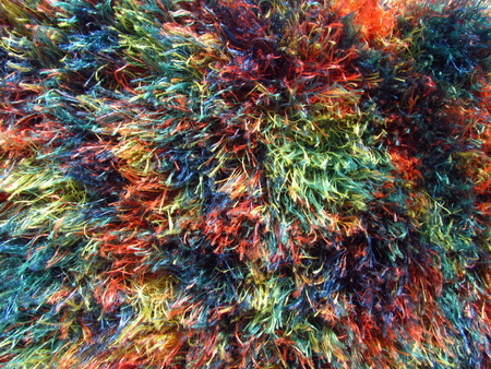 Furry multicolored fabric texture, nice vivid rainbow colorsの写真素材