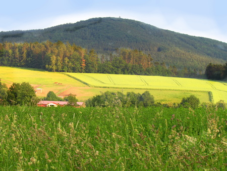 Summer rural hilly landscape with green meadow, yellow fields, view of the mountain called Blanikの写真素材