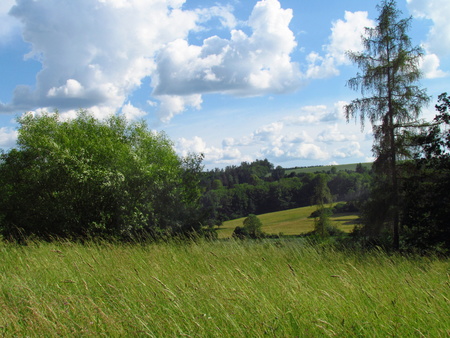 Summer countryside hilly landscape with emerald green meadow, fields, tries and dramatic clouds in the skyの写真素材