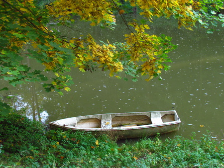 Small fishing boat at the river bank under a tree branch. Autumn beautiful weather in the countrysideの写真素材