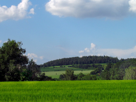 Czech republic, beautiful summer country hilly landscape with emerald green meadow, fields, tries and dramatic clouds in the skyの写真素材