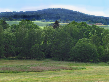 Rural hilly landscape, country with green meadow in summer, forest, Czech republicの写真素材