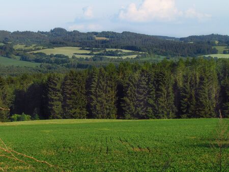 Summer rural hilly landscape with green meadow, forest, Czech republicの写真素材