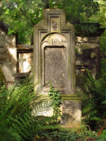 Old tombstone with missing names overgrown with fernsの写真素材
