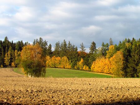 beautiful colorful autumn landscape, meadow, harvested field and forest edge, dramatic cloudsの写真素材
