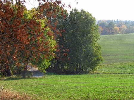 nostalgic misty landscape in late afternoon, nice autumn peaceful sceneryの写真素材