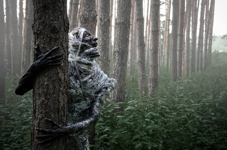 Sometimes fetters is better than freedom の写真素材