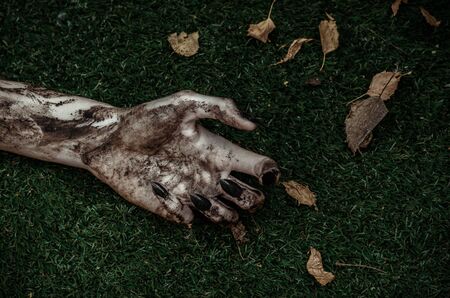 Horror and Halloween theme: Terrible zombie hands dirty with black nails lie on the green grass, the walking dead apocalypse, top view studioの写真素材