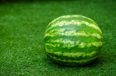 Summer and fresh watermelon theme: beautiful ripe watermelon lying on the grass studioの写真素材