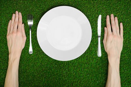 Restaurant and fresh fruit and vegetables on the nature theme: the human hand shows the plate on a background of green grass top view studioの写真素材